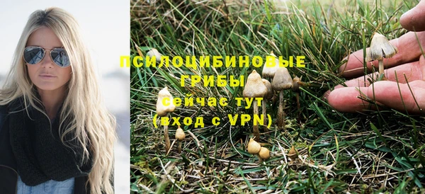 амф Алексеевка