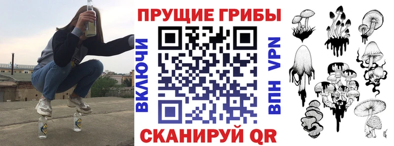 Псилоцибиновые грибы Cubensis  площадка состав  Черногорск  даркнет сайт 